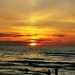 Amber -